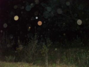 Camino al Valle Sagrado de Siete Osos 283