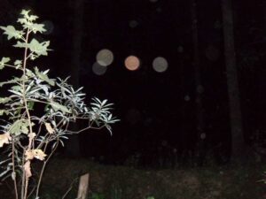 El Manantial y la laguna 048