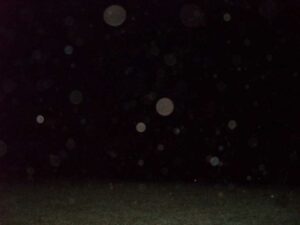 El Manantial y la laguna 065