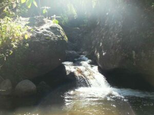 El Manantial y la laguna 014