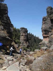 Imagenes de Ivi 363 - copia - copia