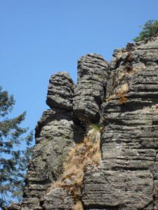 Imagenes de Ivi 378 - copia