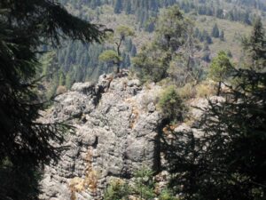 Imagenes de Ivi 406 - copia